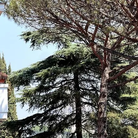Apartmán Planny - Vaticano *